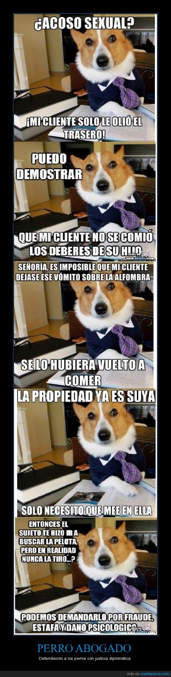 perro,abogados,justicia